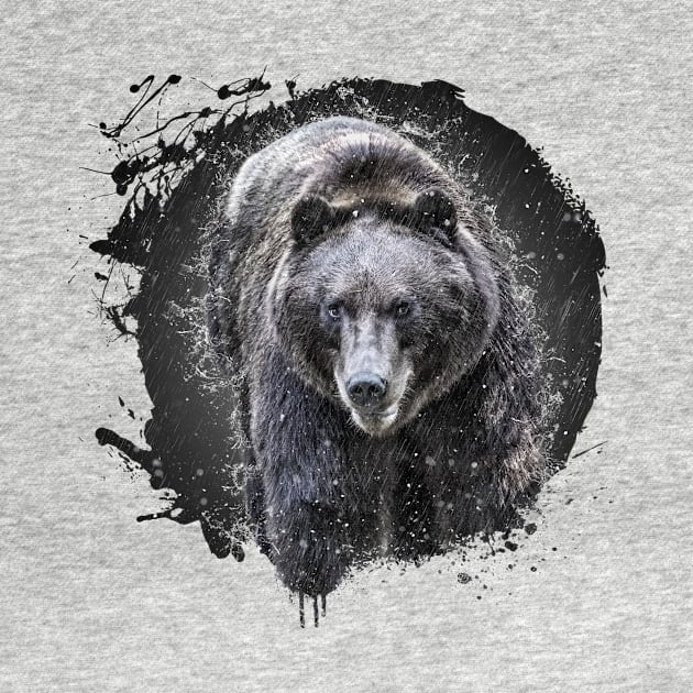 Brown Bear Grizzly Animal Wildlife Jungle Nature Forest Travel Discover by Cubebox